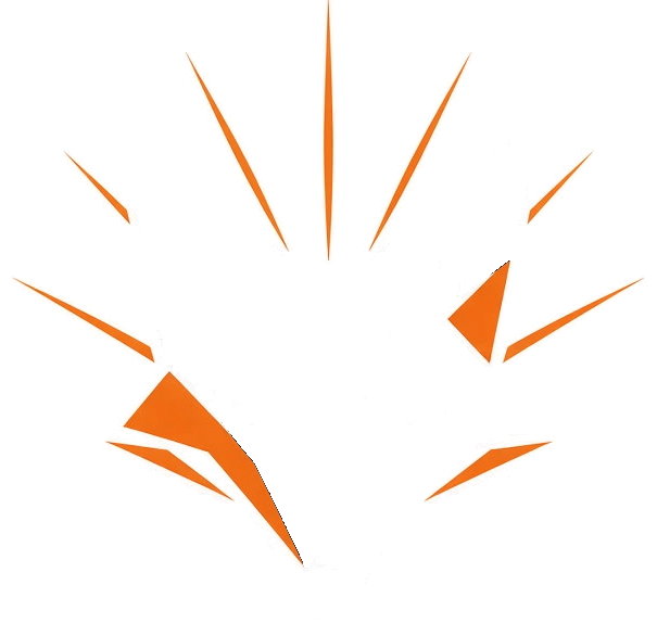 RayFox Studios